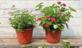 民营医院爆料案例最新视频,真相令人震惊！